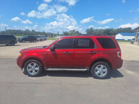 2012 Ford Escape for sale at Steve Winnie Auto Sales in Edmore MI