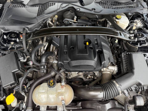 2019 Ford Mustang EcoBoost