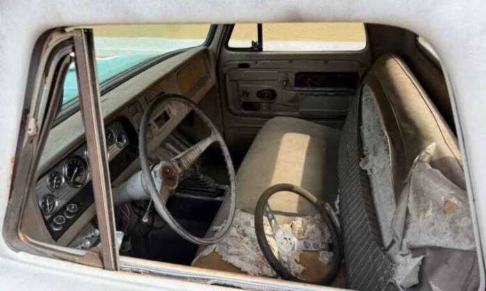 1965 Chevrolet C10