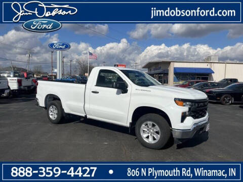 2023 Chevrolet Silverado 1500 for sale at Jim Dobson Ford in Winamac IN