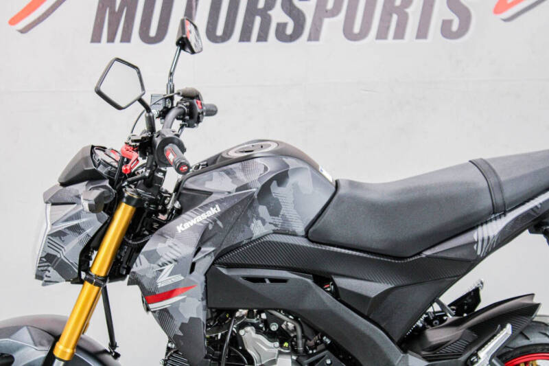 2024 Kawasaki Z125 Pro