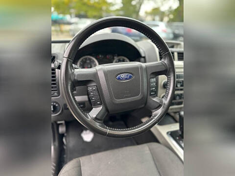 2011 Ford Escape XLT