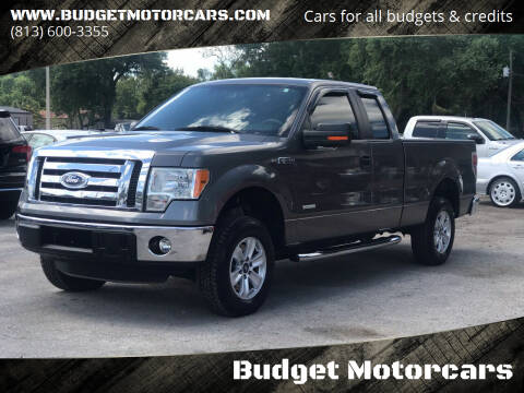 2011 Ford F-150 for sale at Budget Motorcars in Tampa FL