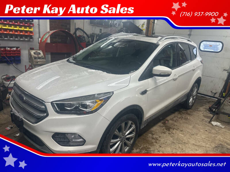 2017 Ford Escape for sale at Peter Kay Auto Sales in Alden NY