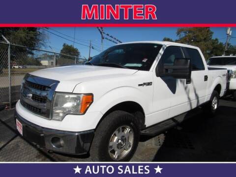 2013 Ford F-150 for sale at Minter Auto Sales in South Houston TX