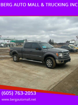 2013 Ford F-150 for sale at BERG AUTO MALL & TRUCKING INC in Beresford SD