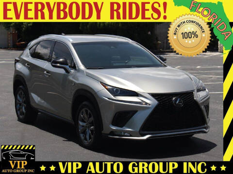 2019 Lexus NX 300 for sale at VIP Auto Group in Clearwater FL