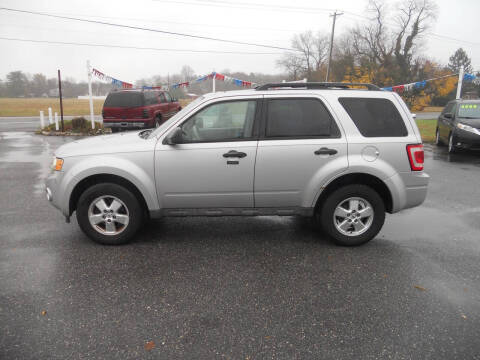 2009 Ford Escape XLT