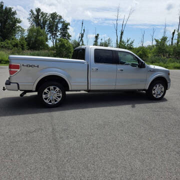 2013 Ford F-150 Platinum