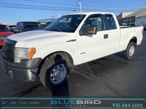 2014 Ford F-150 for sale at Blue Bird Motors in Crossville TN