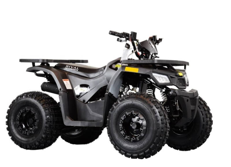 2021 Tao Tao Mudhawk 110cc w/reverse for sale at SMALL TOWN AUTO SALES - ATV's in Angola IN