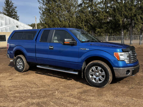2010 Ford F-150 for sale at H & G Auto in Pine City MN