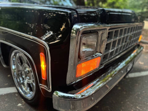 1980 Chevrolet C/K 10 Series