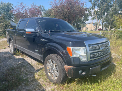 2011 Ford F-150 for sale at HEDGES USED CARS in Carleton MI