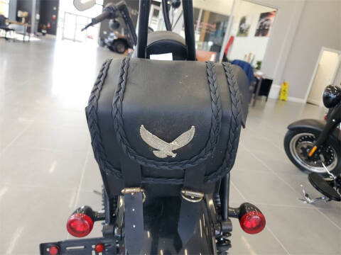 2020 Harley-Davidson Sportster