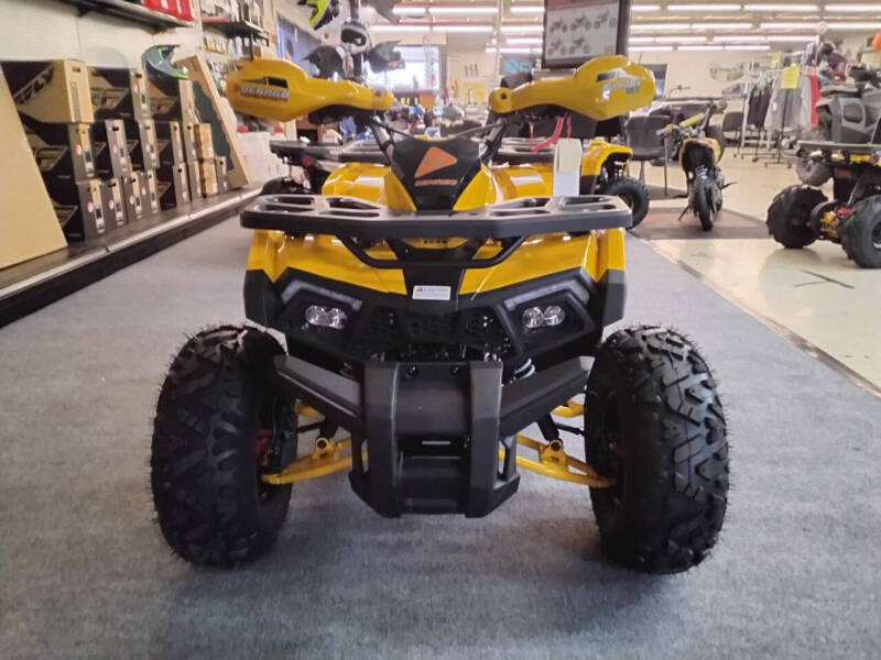 2025 Denago MUDHAWK 10FI ATV