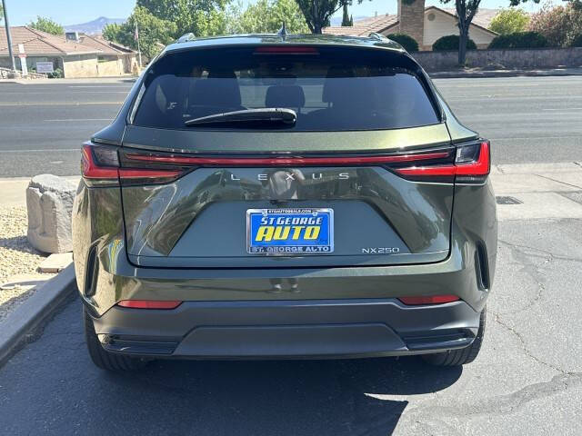 2022 Lexus NX 250