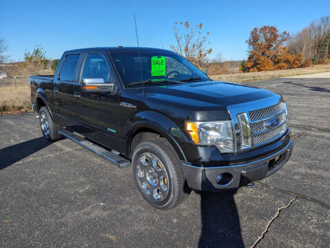 2012 Ford F-150 for sale at Affordable Auto Service & Sales in Shelby MI