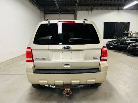 2010 Ford Escape XLT
