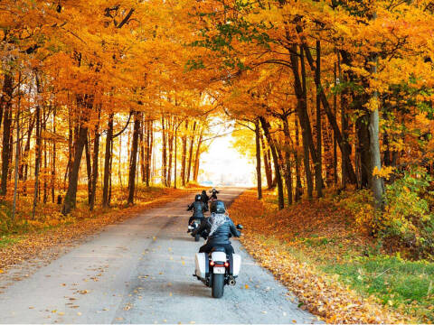 2021 Harley-Davidson Sport Glide