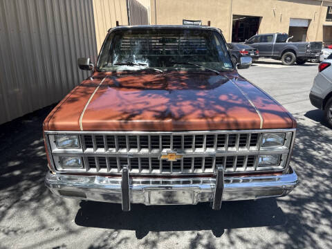1982 Chevrolet C/K 10 Series C10 Silverado