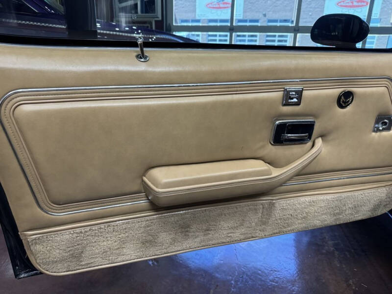 1981 Pontiac Firebird Trans Am