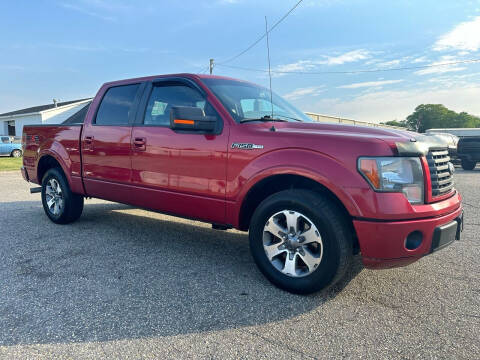 2010 Ford F-150 for sale at Carworx LLC in Dunn NC