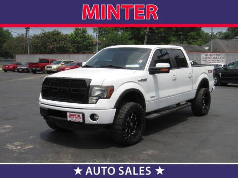 2012 Ford F-150 for sale at Minter Auto Sales in South Houston TX