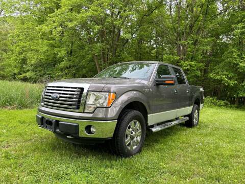 2011 Ford F-150 for sale at PREMIER AUTO SALES in Martinsburg WV
