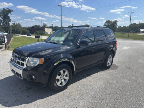 2011 Ford Escape Limited