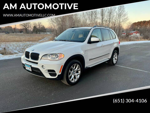 2012 BMW X5 for sale at AM AUTOMOTIVE in Forest Lake MN