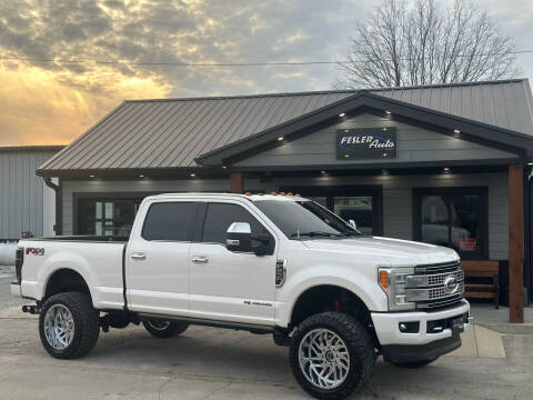 2017 Ford F-250 Super Duty for sale at Fesler Auto in Pendleton IN