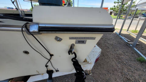 1977 Arrow Glass Tarpon