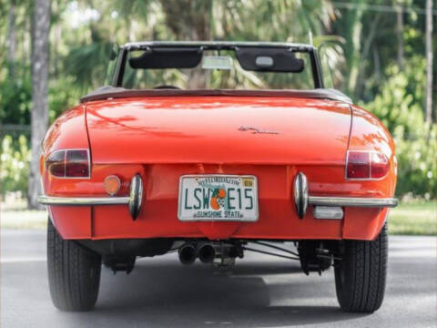 1966 Alfa Romeo Spider