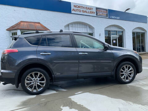 2017 Toyota RAV4 Hybrid for sale at North East Auto Gallery in North East PA
