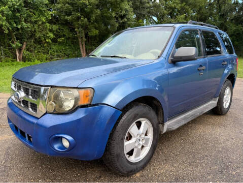 2010 Ford Escape XLT