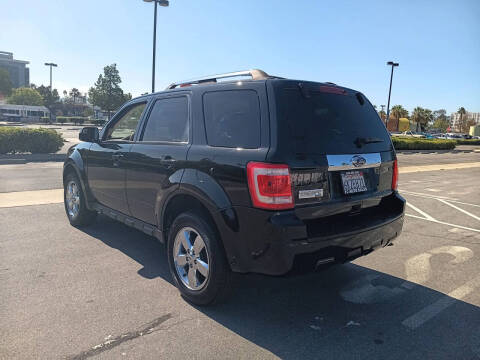 2010 Ford Escape Limited