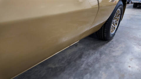 1979 Pontiac Trans Am