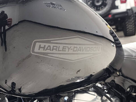 2020 Harley-Davidson Softail