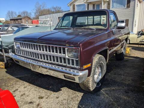 1981 Chevrolet C/K 10 Series for sale at Classic Cars of South Carolina in Gray Court SC