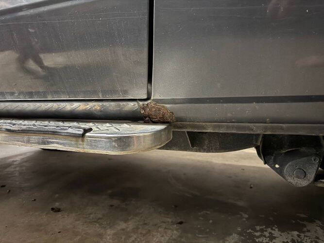 1987 Toyota Land Cruiser