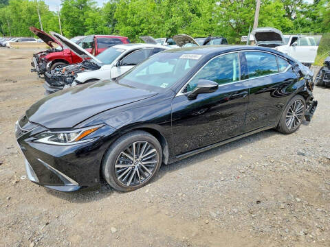 2024 Lexus ES 350