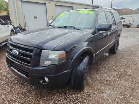 2010 Ford Expedition for sale at Canyon View Auto Sales in Cedar City UT