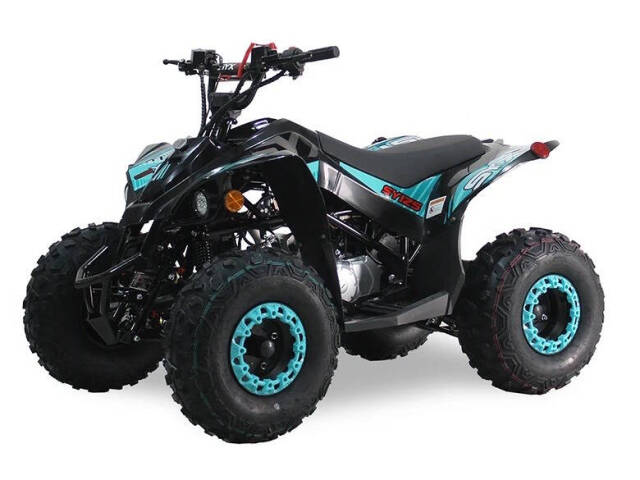 2024 SYXMOTO  PRO SERIES ATV SY125 for sale at TEXAS MOTORS POWERSPORT in ORLANDO, FL