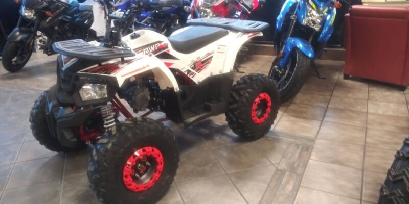 2020 Ace Powersports Inc T125
