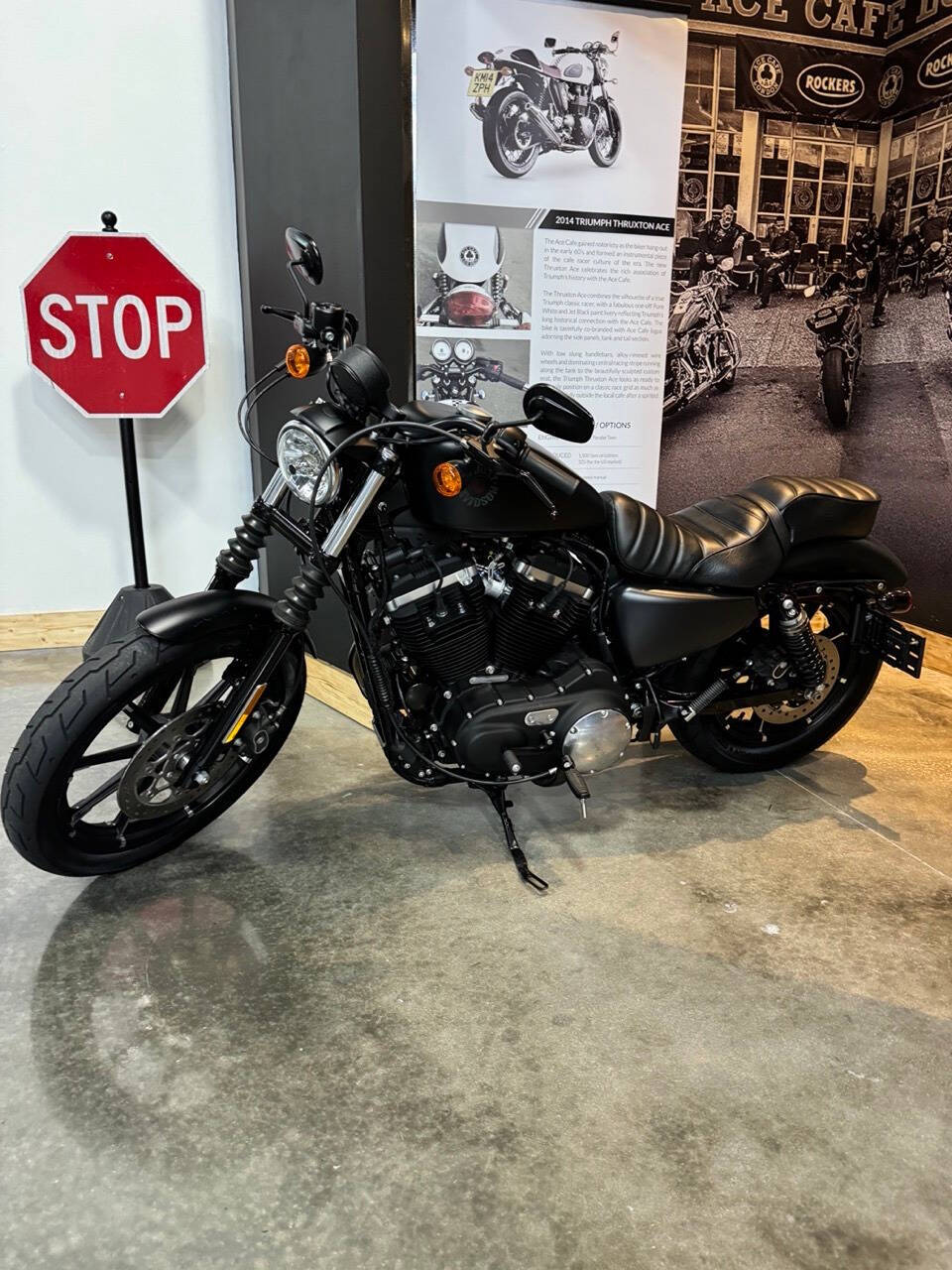 2022 Harley-Davidson XL 883 Sportster for sale at TEXAS MOTORS POWERSPORT in ORLANDO, FL