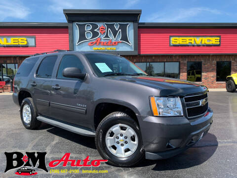 2010 Chevrolet Tahoe for sale at B & M Auto Sales Inc. in Oak Forest IL
