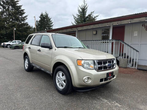 2010 Ford Escape XLT