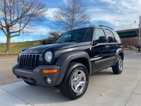 2004 Jeep Liberty for sale at Dalton George Automotive in Marietta OH