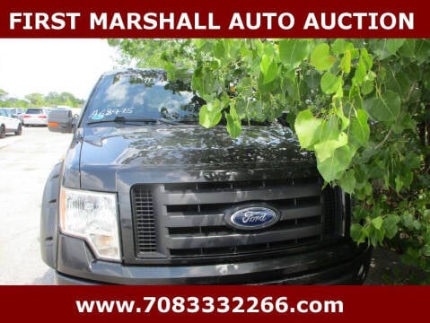 2010 Ford F-150 for sale at First Marshall Auto Auction in Harvey IL